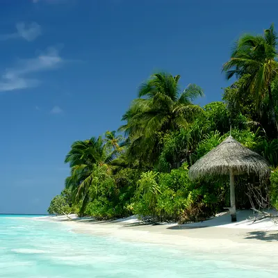 Rondreis Sri Lanka & Malediven, 21 dagen