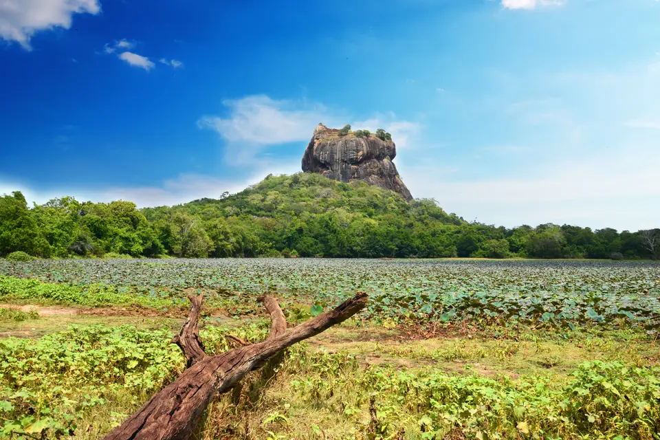 Groepsreis Het Echte Sri Lanka Easy Going