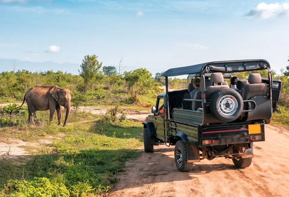 Familiereis op avontuur in Sri Lanka