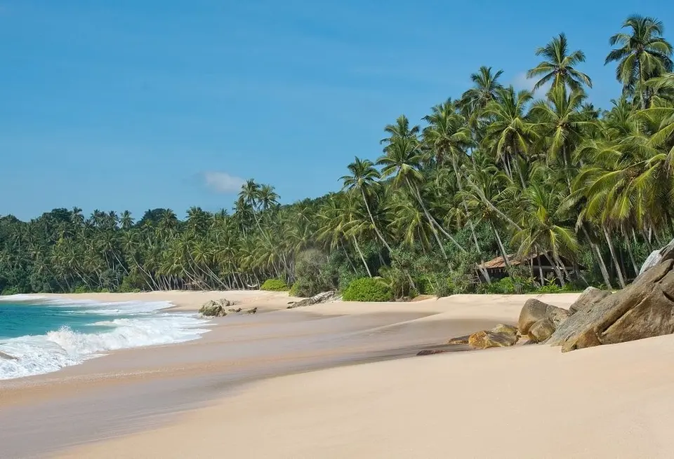 Zuid-Sri Lanka Rondreis: Safari's & Tropische Stranden