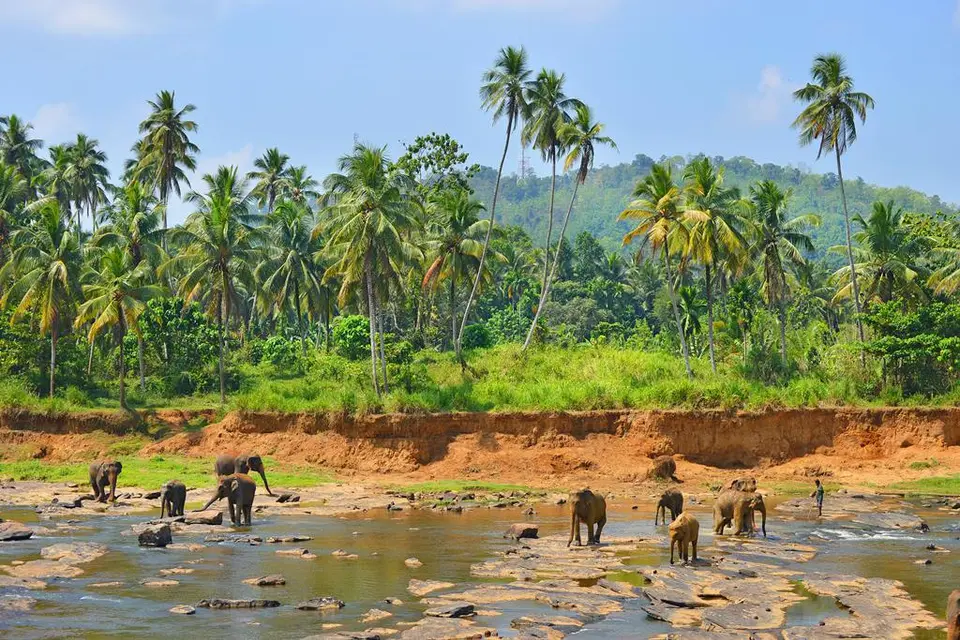 22-daagse rondreis Grand Tour Sri Lanka