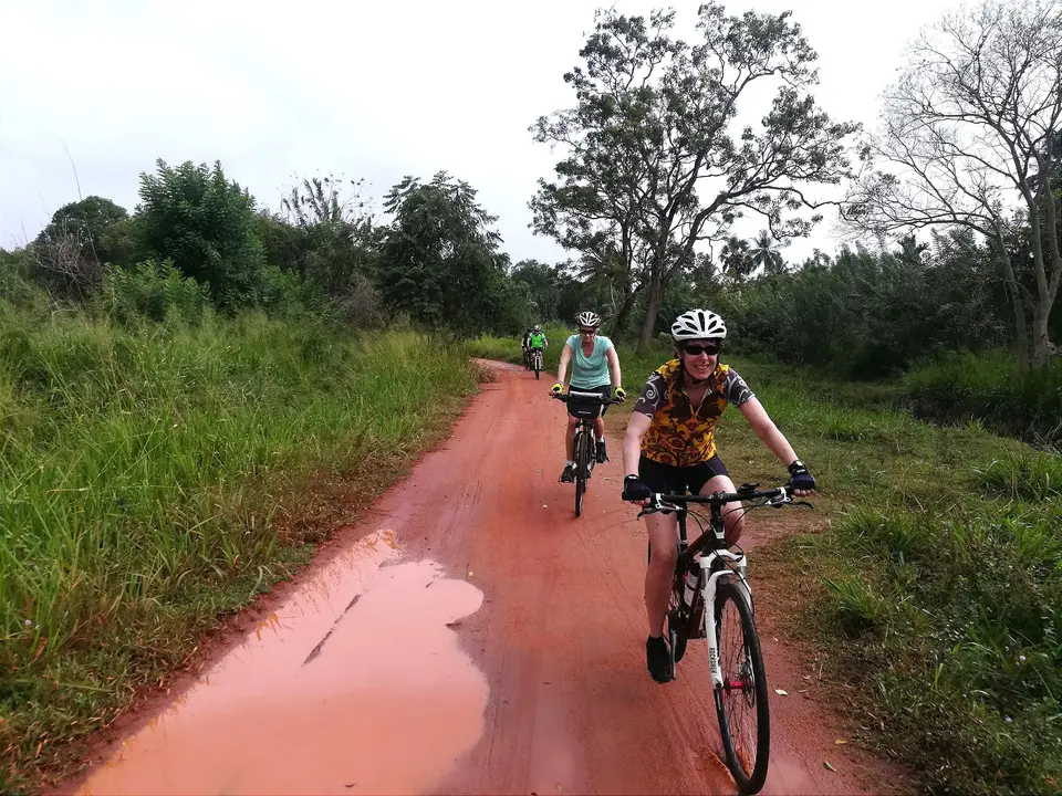 Kerstvakantie Sri Lanka in 2 weken